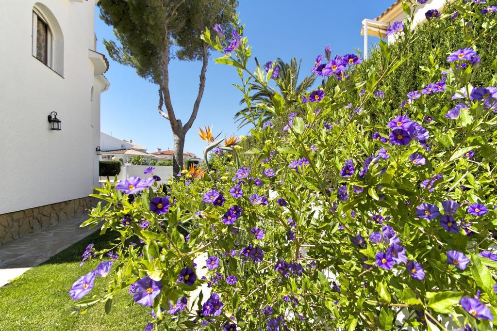 Arenda Pino Alto Villa Gallo Миами-Плайя Номер фото